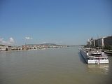 Danubio
